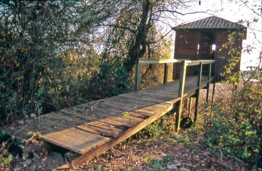 Casa O'Lado Διαμέρισμα Golegã Εξωτερικό φωτογραφία